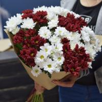 Букет из 11 красных и белых хризантем